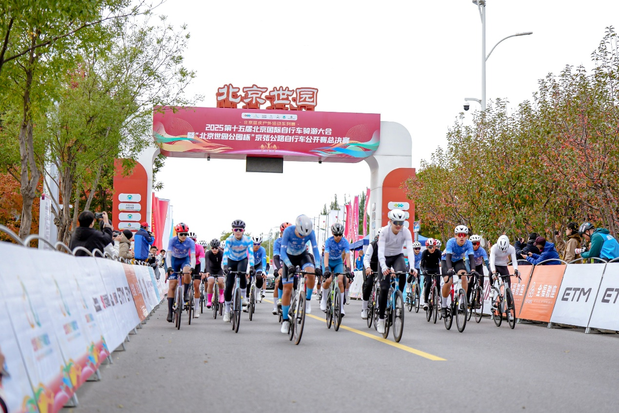 体育, 活的积极意 体育, 活的积极意