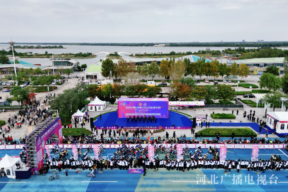 data, lsQTW, 委会承办