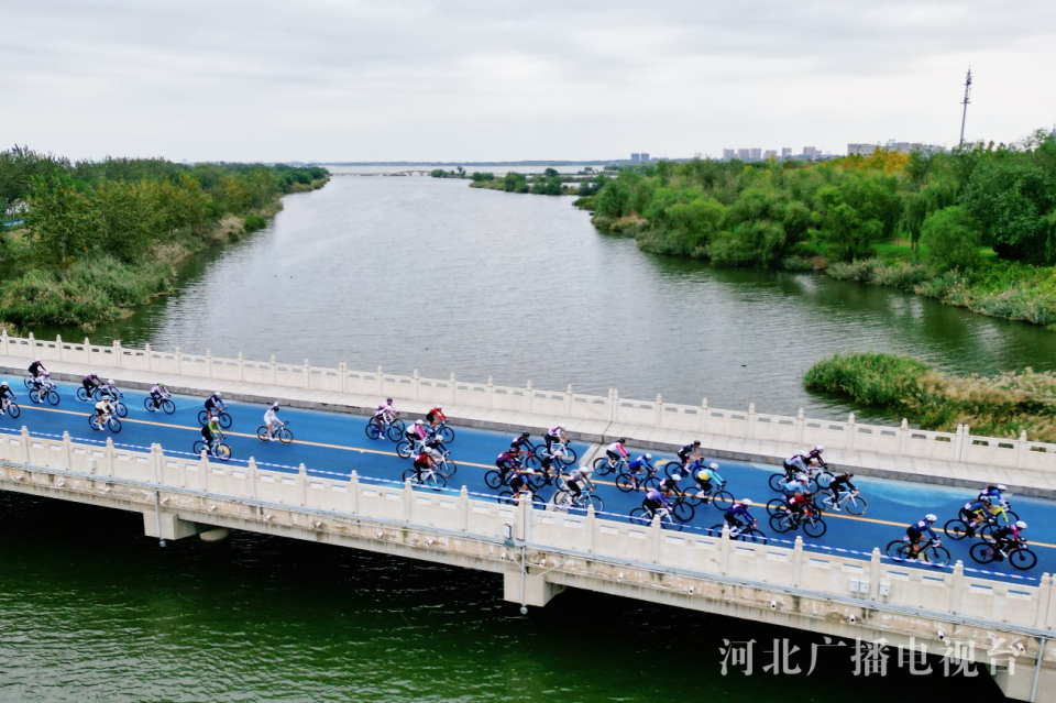 data, 平的竞技平, 王金刚